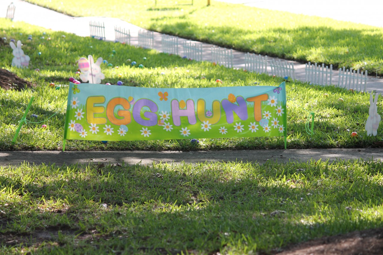 Pictures From the Egg Hunt
