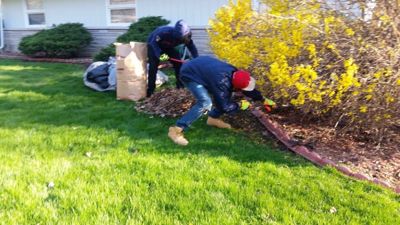 yardwork