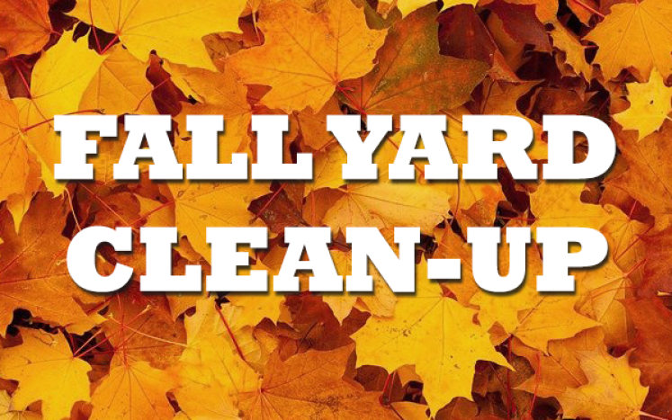 fall clean up thumbnail copy